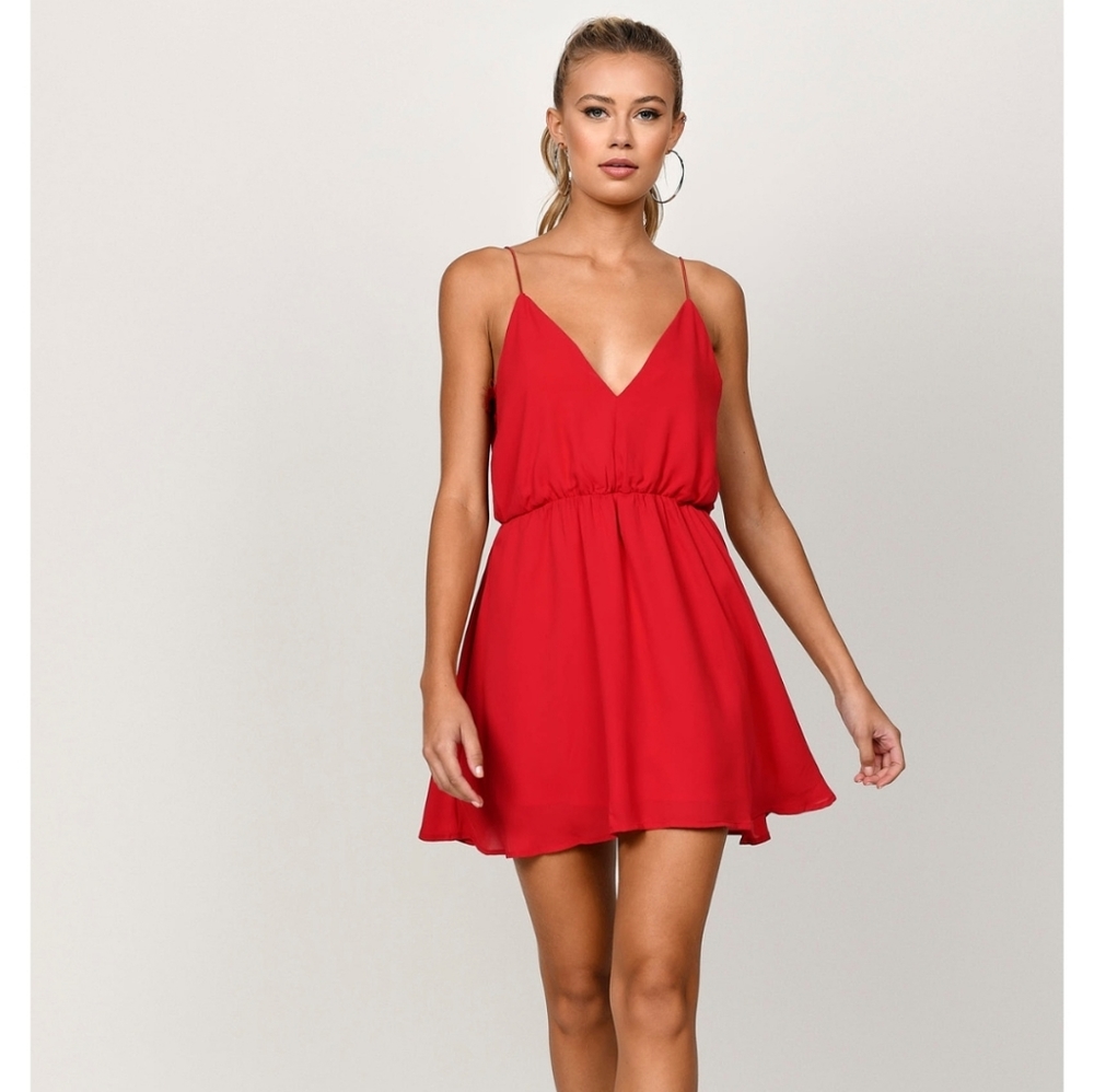 Tobi Denitza Skater Dress